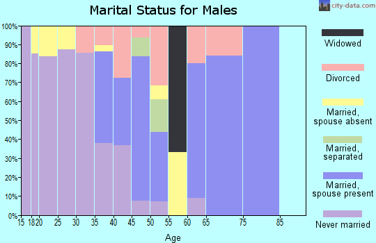 Zip code 89043 marital status for males