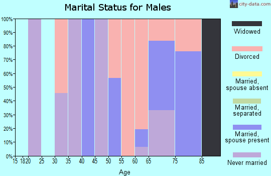 Zip code 89046 marital status for males