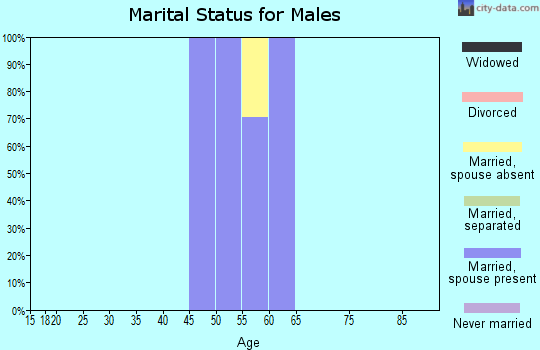 Zip code 89047 marital status for males
