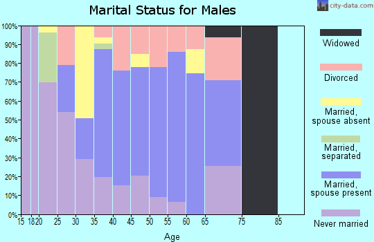 Zip code 89049 marital status for males