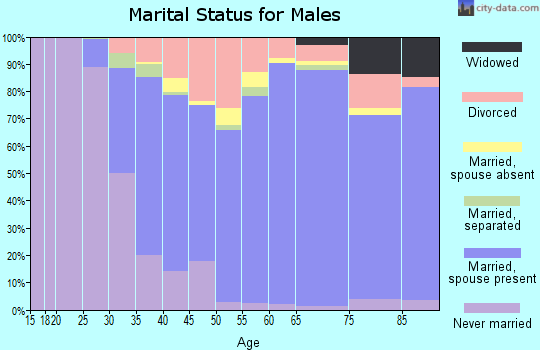 Zip code 89052 marital status for males