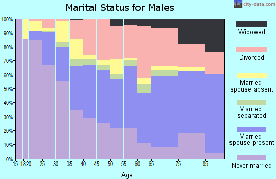 Zip code 89103 marital status for males