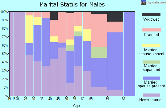 Zip code 89109 marital status for males