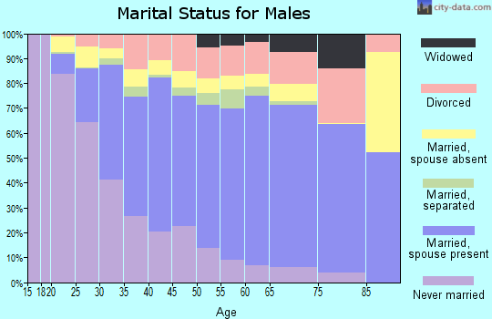 Zip code 89110 marital status for males