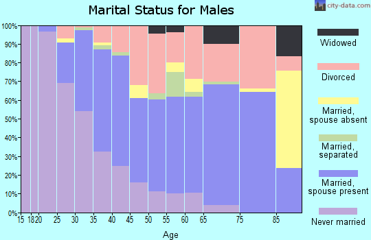 Zip code 89113 marital status for males