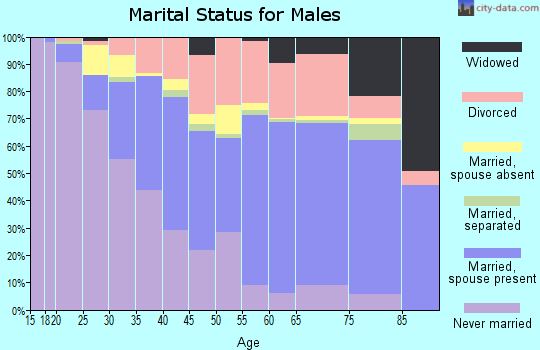 Zip code 89120 marital status for males