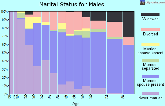 Zip code 89128 marital status for males