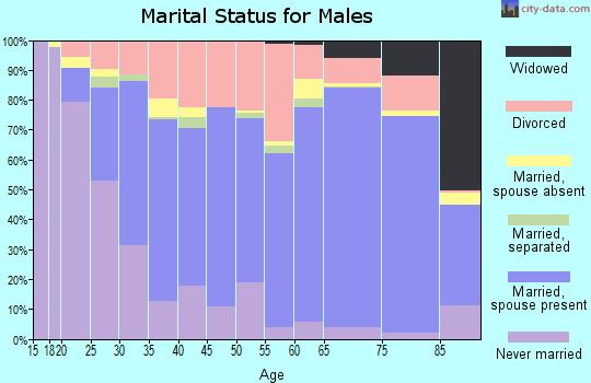 Zip code 89129 marital status for males