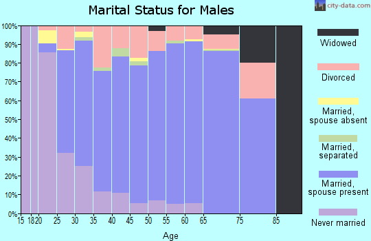 Zip code 89131 marital status for males