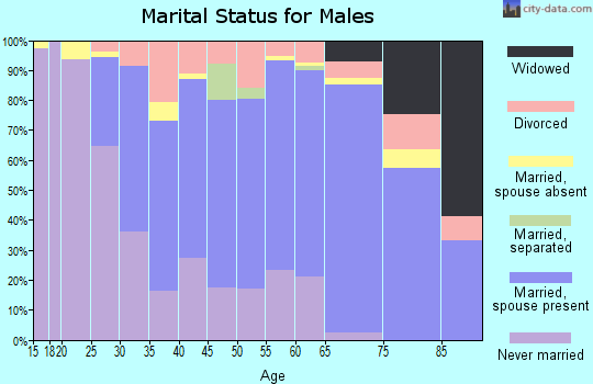 Zip code 89135 marital status for males