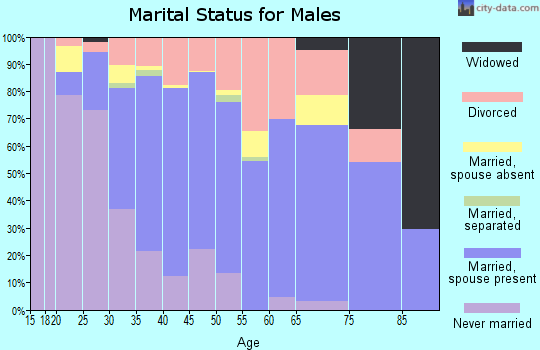 Zip code 89141 marital status for males