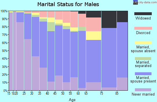 Zip code 89142 marital status for males