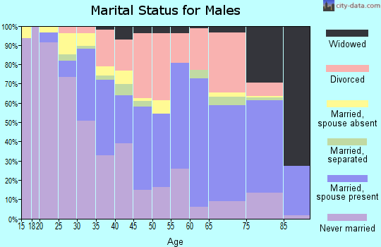 Zip code 89146 marital status for males