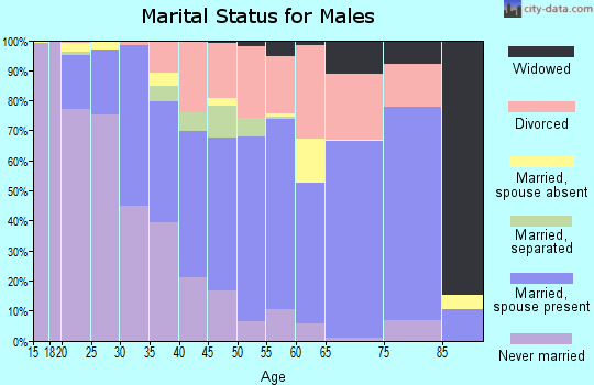 Zip code 89156 marital status for males