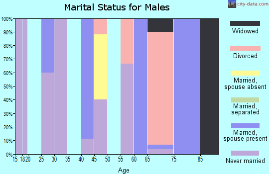 Zip code 89310 marital status for males