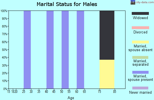Zip code 89311 marital status for males