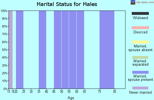 Zip code 89317 marital status for males