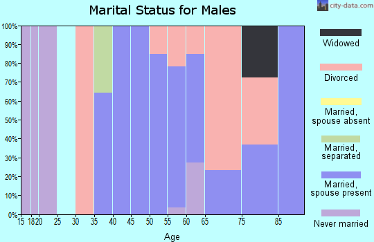 Zip code 89318 marital status for males