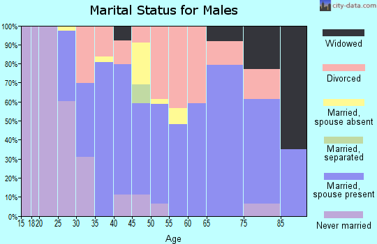 Zip code 89403 marital status for males