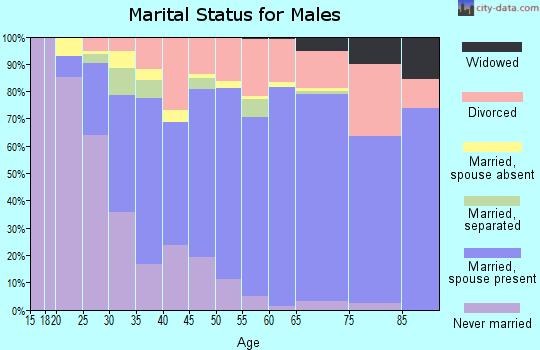 Zip code 89406 marital status for males