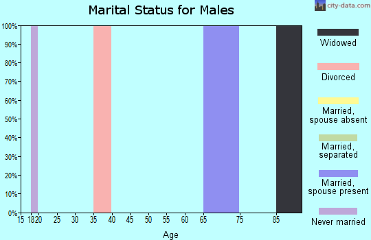 Zip code 89409 marital status for males