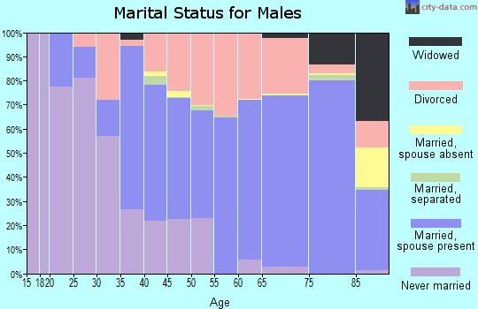 Zip code 89410 marital status for males