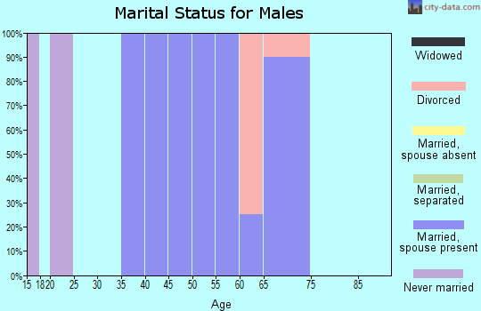 Zip code 89411 marital status for males