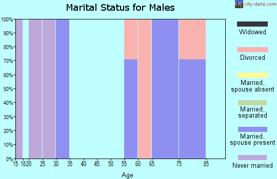 Zip code 89413 marital status for males