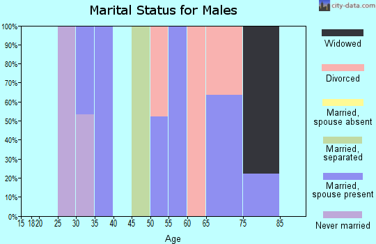 Zip code 89414 marital status for males