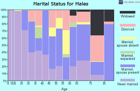 Zip code 89415 marital status for males