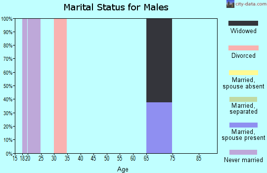 Zip code 89418 marital status for males