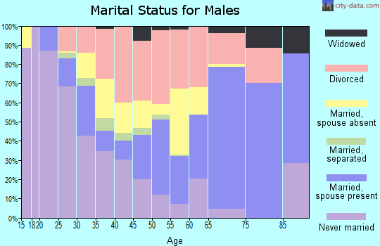 Zip code 89419 marital status for males