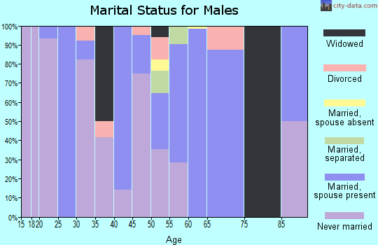 Zip code 89421 marital status for males