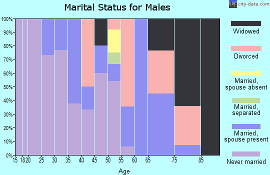 Zip code 89427 marital status for males