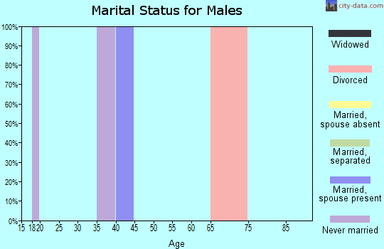 Zip code 89428 marital status for males