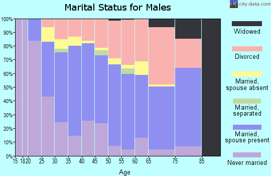 Zip code 89433 marital status for males