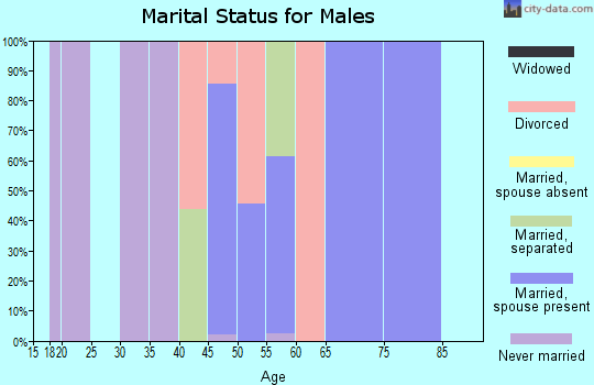 Zip code 89440 marital status for males