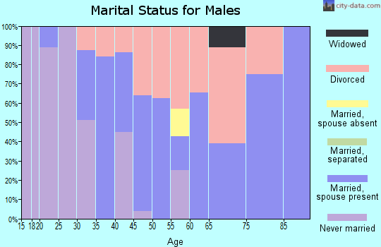 Zip code 89442 marital status for males