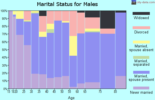 Zip code 89445 marital status for males