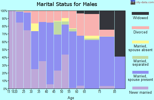 Zip code 89447 marital status for males