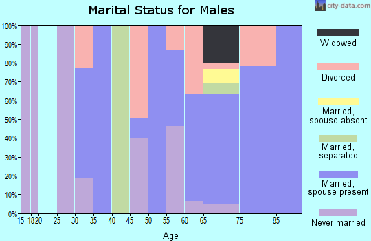 Zip code 89448 marital status for males
