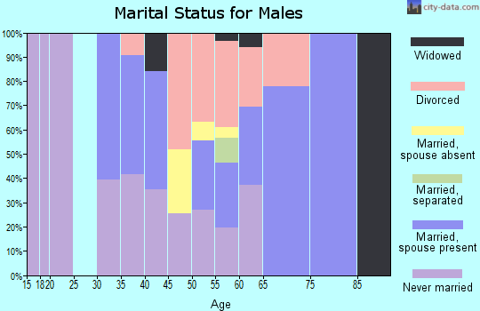 Zip code 89449 marital status for males