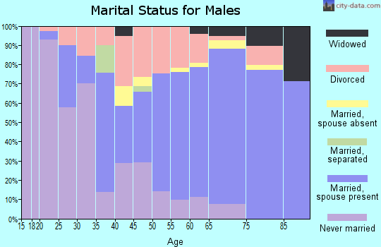 Zip code 89451 marital status for males