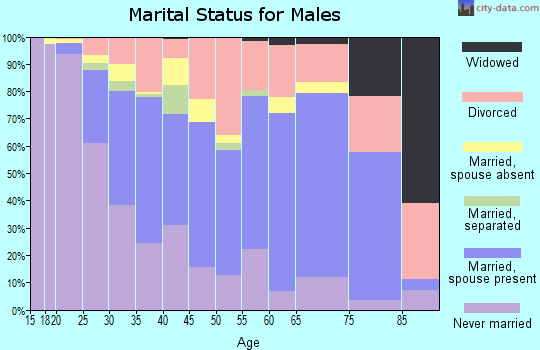 Zip code 89506 marital status for males