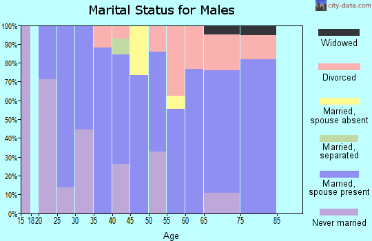 Zip code 89510 marital status for males