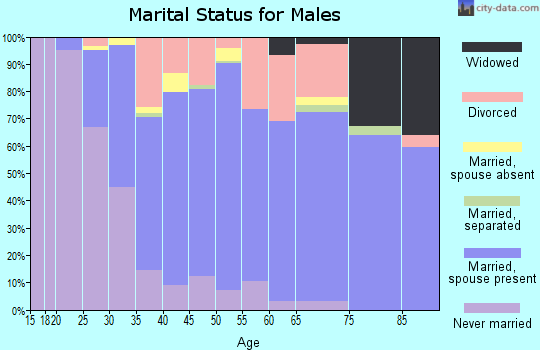 Zip code 89523 marital status for males