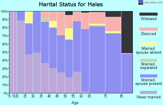Zip code 89703 marital status for males
