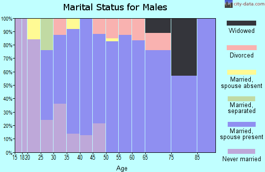 Zip code 89704 marital status for males