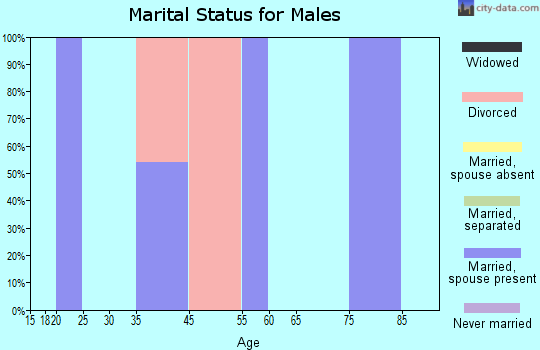 Zip code 89803 marital status for males