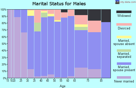 Zip code 89815 marital status for males